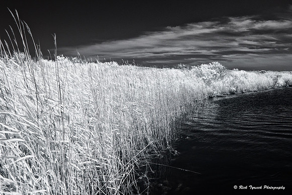 MassCapeCodPilgrimLake0009_2012