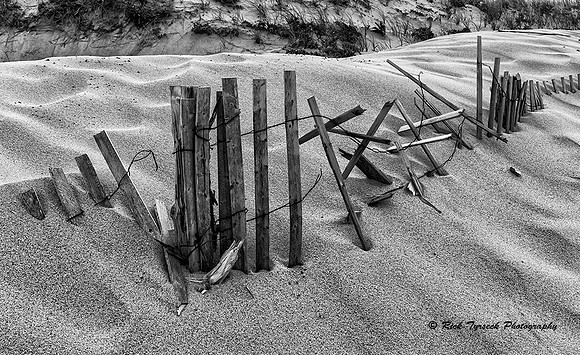 MassCapeCodRacePointSnowFence8424B_2013