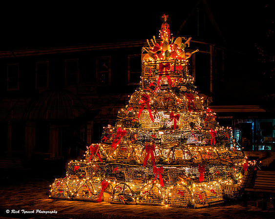 MassCapeCodLobsterTrapChristmasTree2274_2005