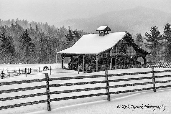 NYAdirondackBarnyard0297_2015