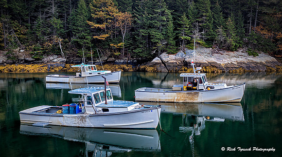 MaineBackCoveTrio3289-3291_2013